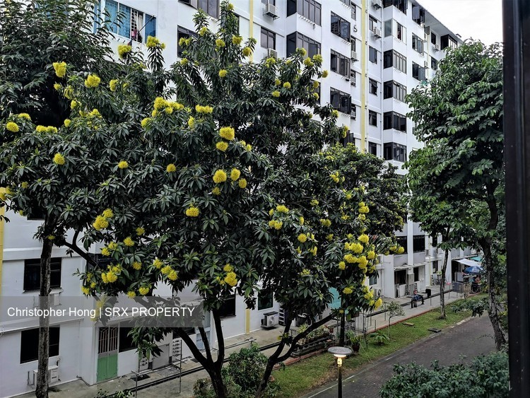 Blk 44 Circuit Road (Geylang), HDB 3 Rooms #212473631